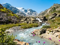Wieder im Tal. Der Steingletscher speist das Steiwasser. : Giglistock