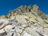 Ich habe mir jedoch die kurze Kletterei vorgenommen - nötigenfalls könnte ich immer noch zurück und das Couloir hoch. Bald zeigt sich ein grosser Steinmann auf dem Gipfel. Links im Bild ist ein Grasband erkennbar, durch welches es hochgeht. : Juchlistock