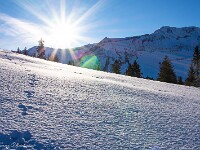 Nünalpstock (1901 m) 2026