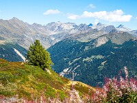 Nun bin ich definitiv aus dem Schneider und geniesse den Abstieg über Alpweiden entlang des Skilifts nach Pesciüm (1741 m). Weil eben die Bahn bereits Saisonschluss hat, Weitermarsch nach Nante zum Auto. : Passo Sassello, Passo dei Sassi