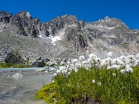 Sidelengrat und Gross Furkahorn 3168 m (rechts). : Zinal 2026