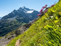 Stucklistock (3313 m). : Sustenlochspitz