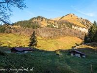 Herbstwanderung auf's Wilerhorn ... (Beschreibung folgt) : Wilerhorn