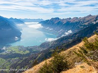 2024-11-07 Wilerhorn 800  DSC3237 : Wilerhorn