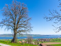 Sempachersee : Nottwilerberg, Ruswilerberg, Sempachersee