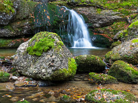 Wasserfälle am Wängibach. : Wasserfall, Wängibach