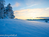 Beim Obergrüt ein letzter Blick Richtung Sonnenaufgang, dann gehts in den tiefverschneiten Oberäbersolerwald. : Winter Hohenrain