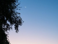 Ein herrlicher Tag kündigt sich an. Unterhalb der schmalen Mondsichel befindet sich die Venus. Mit einem Feldstecher kann sogar die Venusphase (abnehmend, zunehmend oder Vollvenus) beobachtet werden. : Mond und Venus