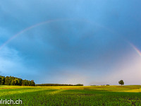 Wieder ein wunderbarer Regenbogen vor unserer Haustüre. : Regenbogen Hohenrain