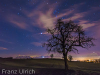 Silvesternacht in Hohenrain : Nachthimmel Sternenhimmel Orion Pilatus Baum Jupiter