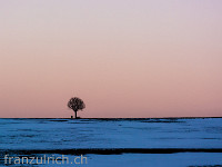 Abendstimmung im Freiamt : Winter Baum blaue Stunde