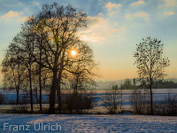 Abendstimmung in Hohenrain : Winter Landschaft Baum Oberebersol Hohenrain