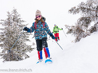 Dieses weisse Pulver macht einfach Spass! : Abstieg, Haglere, Schnee, Schneeschuhtour, Tanne, Wald, Winter, verschneit