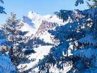 Herrlicher Blick zum Schibengütsch. : Berg, Schibengütsch, Schnee, Schrattenfluh, Tanne, Winter, verschneit