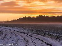 Wintermorgen in Hohenrain. : Himmel, Hohenrain, Wald, Winter