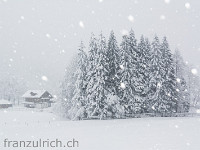 Schneefall im Eigenthal : Regenflüeli Eigenthal Winter