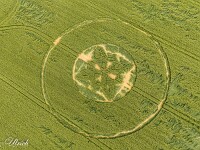 Als ich den Kornkreis am 5. Juni besuchte, war er durch, Wind, Regen, das weitere Wachstum sowie die vielen Besucher bereits etwas hergenommen. Der keltische Knoten ist noch gut zu erkennen.  default : Kornkreis Warminster Wiltshire