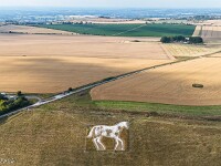 Beim Roundway White Horse (Devizes, Wiltshire, England), hinten links sind zwei Kornkreise zu erkennen.  default : Kornkreis