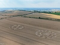 Entdeckt am 11. Juli 2026 (links) und am 18. Juli 2026 (rechts), Roundway Hill, Devizes, Wiltshire, England.  default : Kornkreis