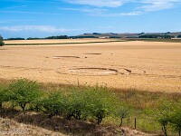 Kornkreis bei Avebury. : England 2026