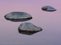 Im sanften Morgenlicht ragen die Steine wie Inseln aus dem Wasser des Baldeggersees. : Seetal Baldeggersee
