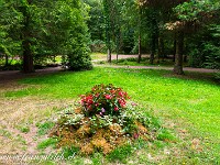 2023-07-07 21 Bretagne 800 FU2 5884 : Bretagne 2023