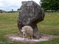 2025-06-22 UK2025 800 FUL2842 : Avebury
