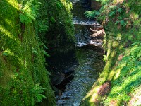 2025-06-11 UK2025 800 FUL2076 : Devils Pulpit, Sycamore Gap, Vindolanad
