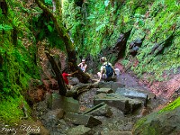 2025-06-11 UK2025 800 FUL2081 : Devils Pulpit, Sycamore Gap, Vindolanad