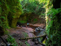 2025-06-11 UK2025 800 FUL2084 : Devils Pulpit, Sycamore Gap, Vindolanad
