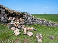 2025-06-11 UK2025 800 FUL2046 : Devils Pulpit, Sycamore Gap, Vindolanad