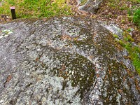 20220527 Falera Flims Caumasee 800 FU2 2892 : Cauma-See, Falera, Flims