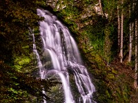 20200809 11 Giessbach 800  FU1 4255 : Giessbach