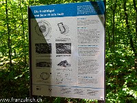 20190530-Teufenthal Lenzburg 800 FUL 4965 : Grabhügel Seon-Niederholz