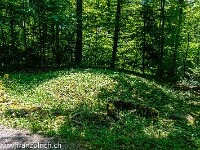 20190530-Teufenthal Lenzburg 800 FUL 4966 : Grabhügel Seon-Niederholz