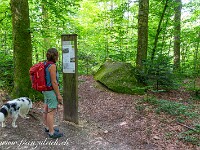 2024-07-05 Megalithweg + Verenaschlucht Solothurn 800  FUL0598 : Megalithweg, Solothurn, Verena-Schlucht