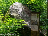 2024-07-05 Megalithweg + Verenaschlucht Solothurn 800  FUL0636 : Megalithweg, Solothurn, Verena-Schlucht