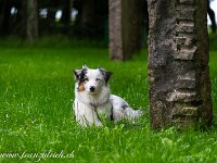 St. Peters-Insel (BE, Schweiz)