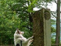 2024-06-14 St. Peters-Insel 800  FUL0587 : St. Peters-Insel