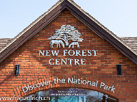 Wir sind in Lyndhurst, im New Forest National Park angelangt. 1079 wurde der New Forest von Wilhelm I von England zum königlichen Wald für die Hirschjagd erklärt. Am 1. März 2005 wurde der Park formell eingerichtet : Schottland England 2015