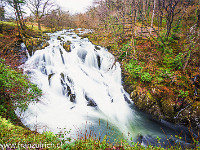 Die Swallow Falls sind eindrückliche Wasserfälle, vor allem nach dem vielen Regen während der vergangenen Tage. : Afon Llugwy, Bach, England, Nant Gwynant, Swallow Falls, Wales, Wasser, Wasserfall, rauschen