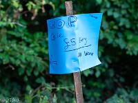 Bei Tidcombe besuche ich einen Kornkreis; der Landbesitzer hat ihn sogar ausgeschildert, die Spendenkasse jedoch suche ich vergebens. : England 2026