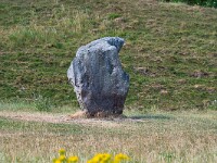 Stein in Avebury. : England 2026