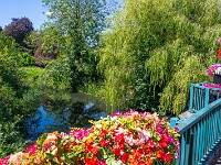 River Kennet bei Marlborough. : England 2026
