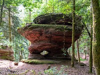 Auf dem Hügelzug, jedoch gänzlich vom Wald überwachsen, sind Überreste eines riesiegen keltischen Oppidiums (Siedlung) vorhanden, wovon ich allerdings nicht viel sah. Dafür entdeckte ich diesen interessanten Felsen. : Saint-Jean Saverne