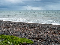 Weit hinten im Meer sind Windräder zu erkennen - nichts Schönes, finde ich. : Muncaster Castle, Silecroft, Wasdale