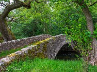 Auf dem Weg zum Wast Water. Weil alles feucht und nass ist, kommen die Grüntöne besonders gut zur Geltung. : Wast Water Wasdale