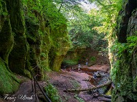 ... zu diesem wirklich magischen Platz. : Devils Pulpit, Sycamore Gap, Vindolanad