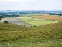 Nur wenige Meilen entfernt befindet sich ... : Avebury, White Horse Alton Barnes