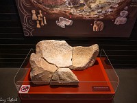 Im angegliederten Museum. : Malta 2025